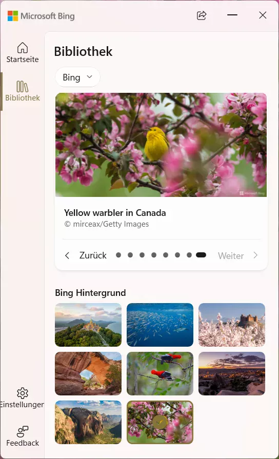 Übersicht der vergangenen Bilder, sowie eine Beschreibung zum aktuellen Bild.
